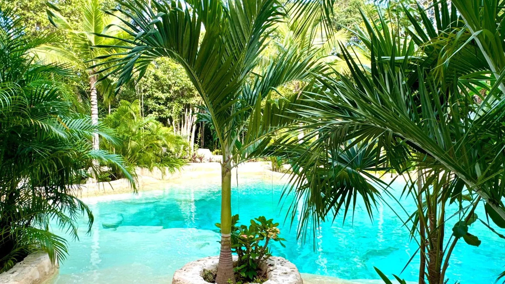 Glamping Bunga Lotus Hotel Tulum