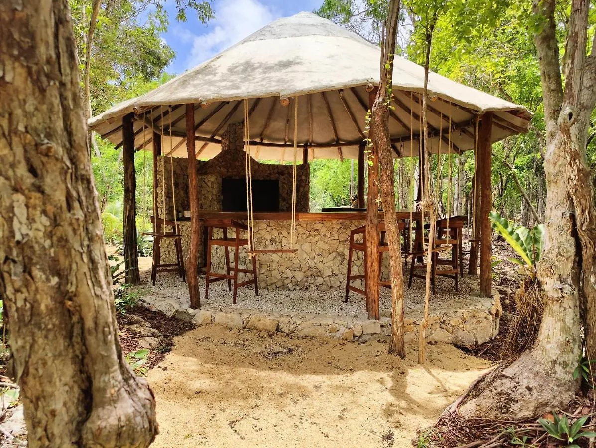 图卢姆 Glamping Bunga Lotus酒店 墨西哥