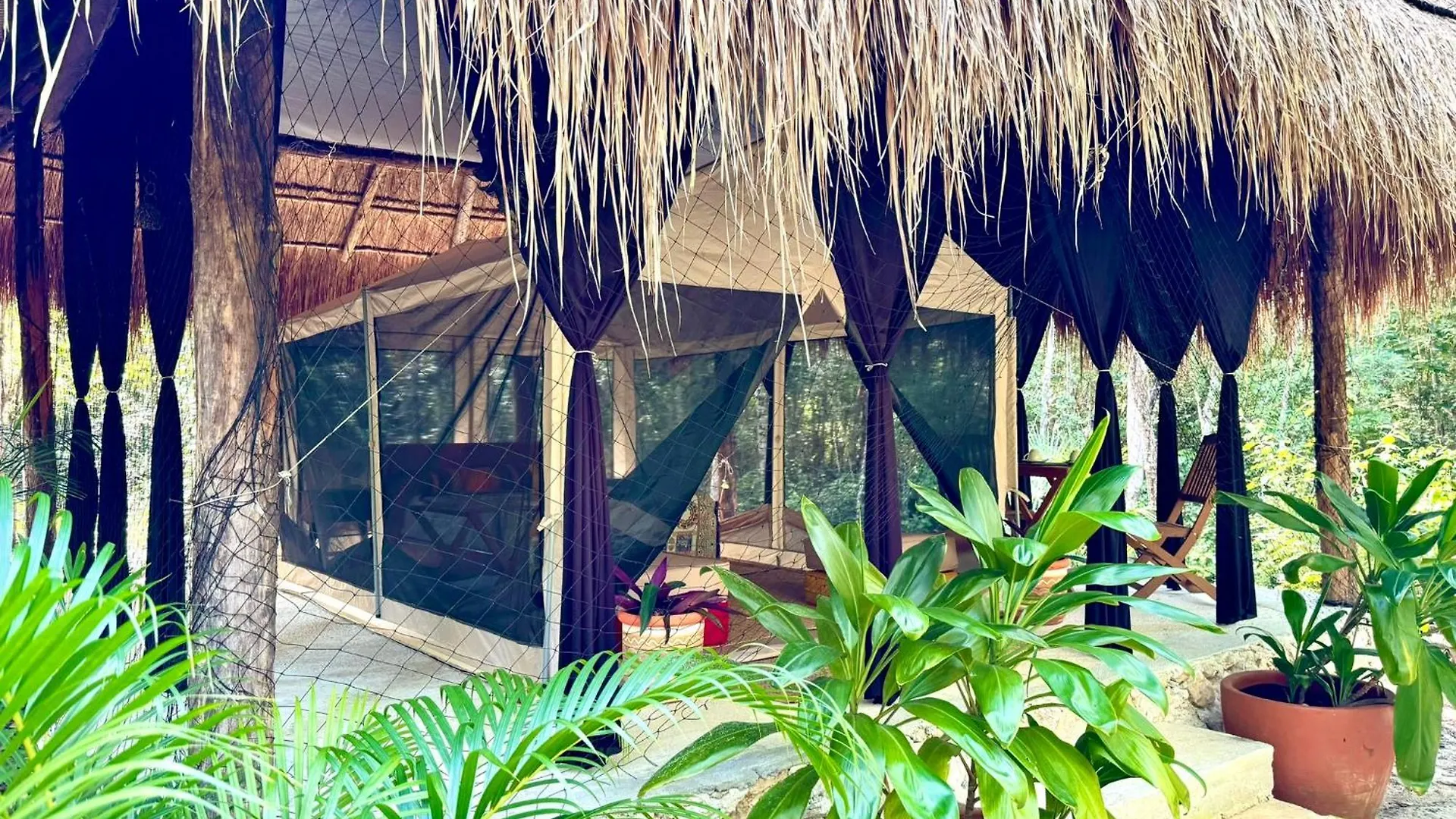 图卢姆 Glamping Bunga Lotus酒店 墨西哥