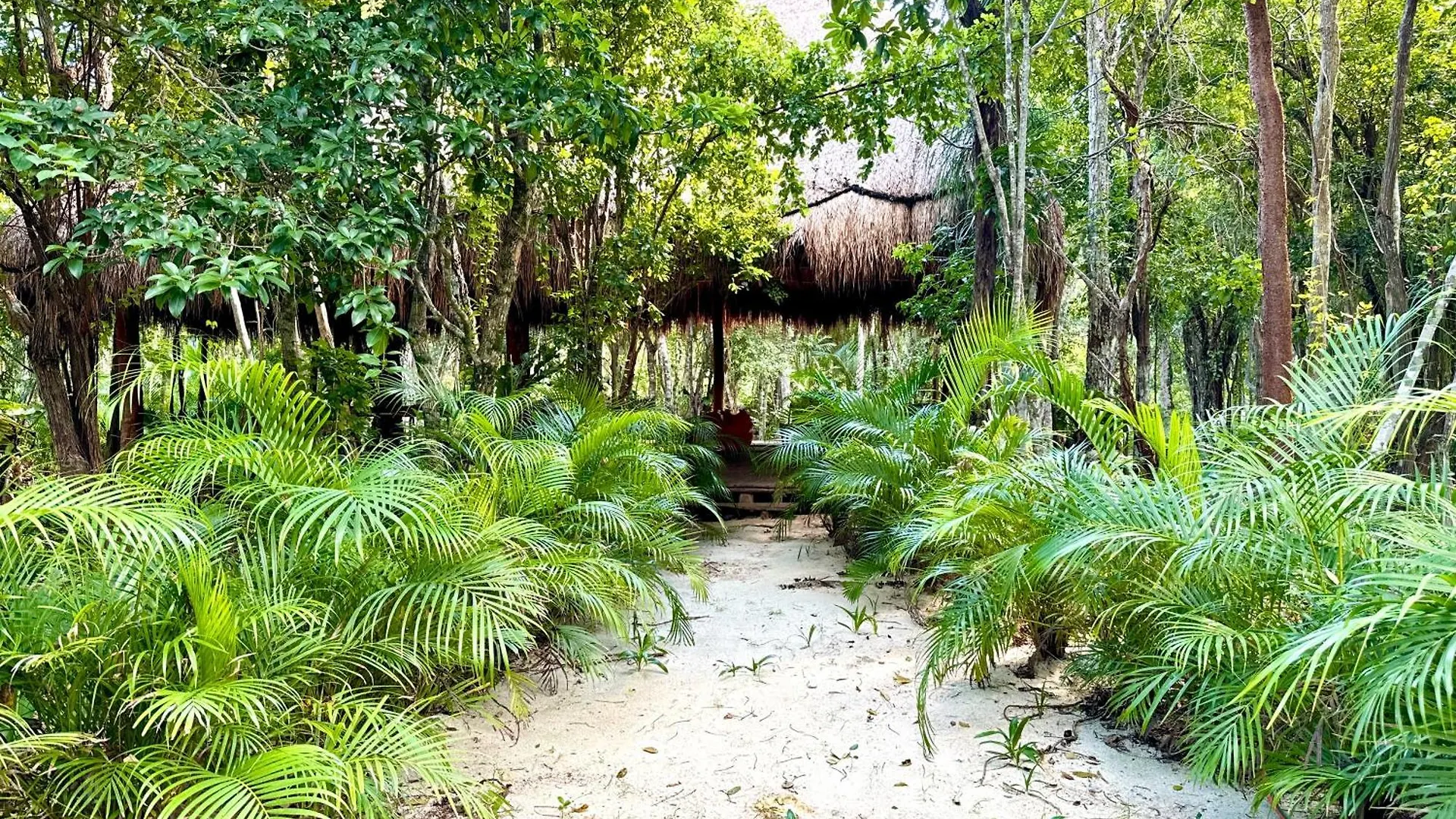 营地 图卢姆 Glamping Bunga Lotus酒店