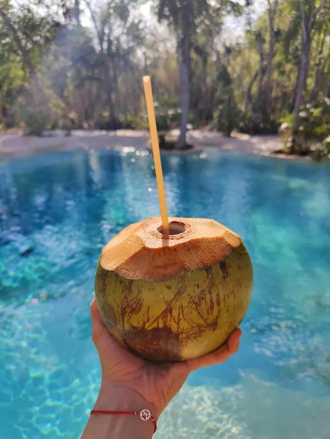 图卢姆 Glamping Bunga Lotus酒店 墨西哥