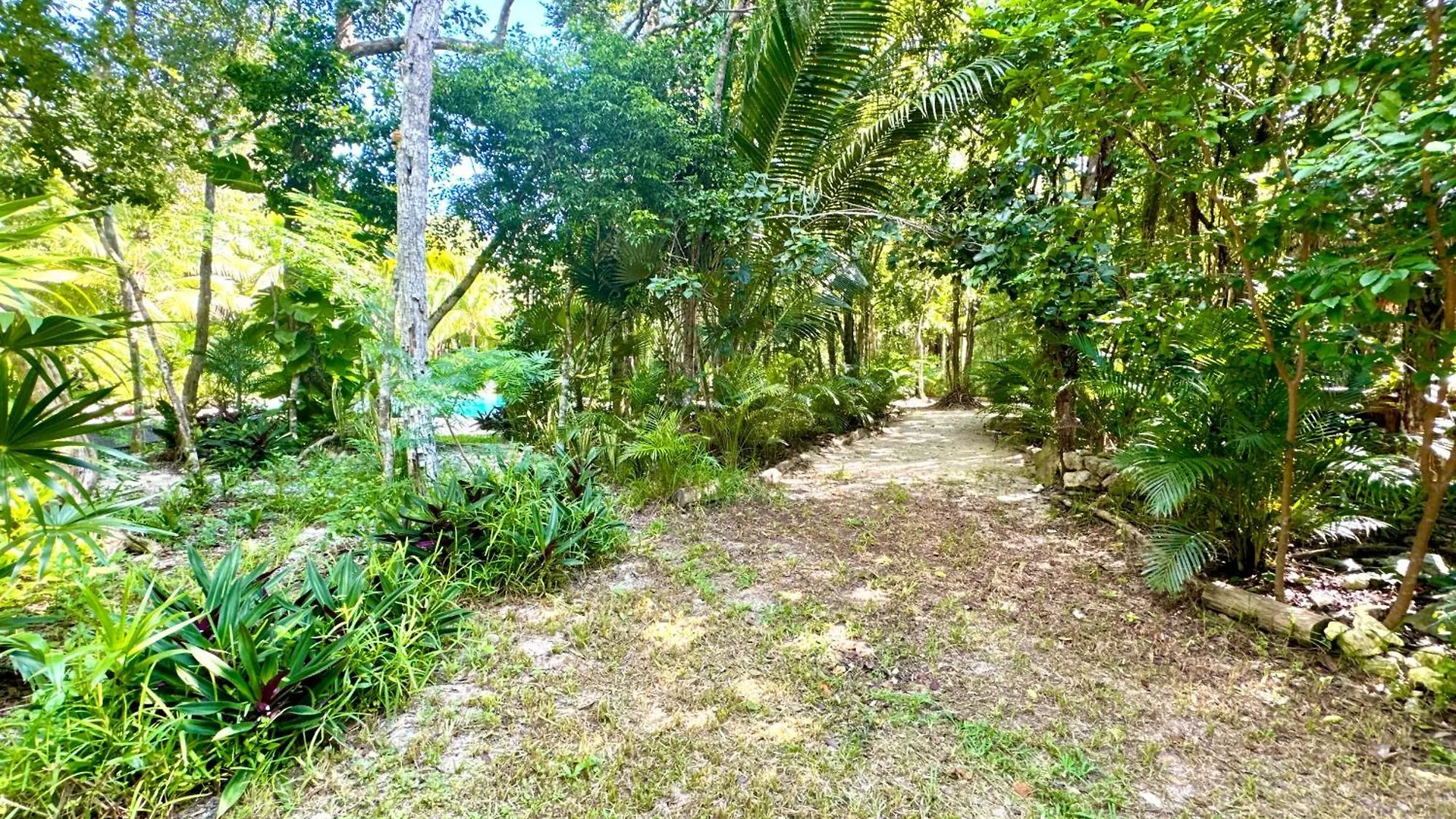 图卢姆 Glamping Bunga Lotus酒店 营地