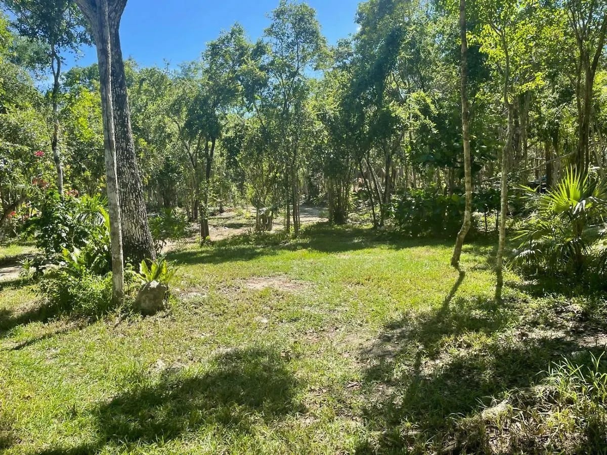 Glamping Bunga Lotus Hotel Tulum 0*,  Mexico